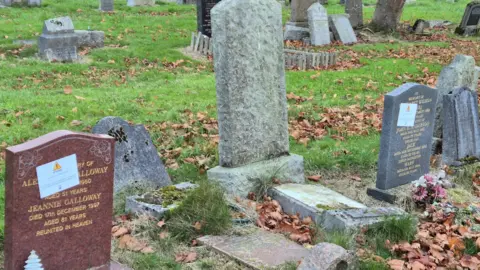Three graves in Riddrie cemetery - the left hand one is a reddish brown and has a warning sticker applied, while the right hand one is grey and also has a sticker applied. The one in the centre is grey and unlabeled.