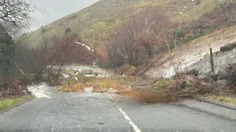 Martin Jones Trees, mud and water on a road after a landslide