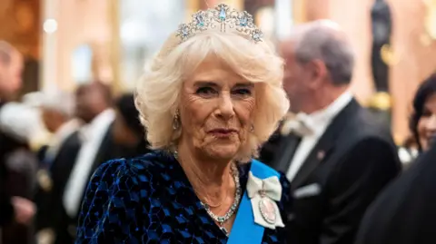 Reuters Queen Camilla wearing a tiara and blue and black dress at an event.