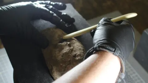 Oxford Cotswold Archaeology A person wearing black gloves works to remove dirt and pieces of earth that surrounds the bundle of coins. They use a cream coloured tool to remove the earth.