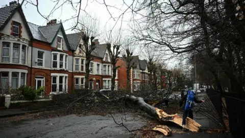 Getty Images A tree blown over in Liverpool during Storm Darragh