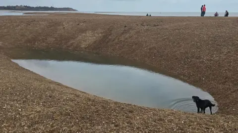 Felixstowe Coastguard Rescue Team A black dog stands in the hole, which has steep sides and is partially filled with water. It is based on a shingle beach and there are people standing in the background.