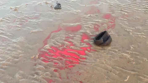 Josie Smith A sandy beach, with a large puddle of blood on it. Next to the puddle is a discarded hat and a dog poo bag