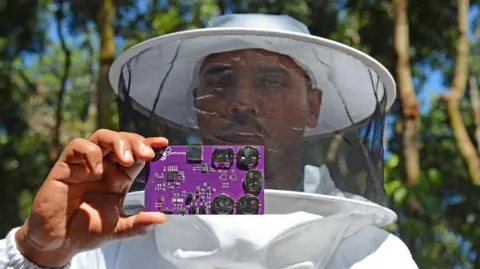 Getty Images This photograph taken on February 2, 2025 shows a worker at agritech startup BeePrecise, an Internet of Things (IoT) based AI-powered intelligence platform for beekeeping, holding a brood monitor with AI sensors at an apiary in Hesaraghatta on the outskirts of Bengaluru. Much of India's vast agricultural economy -- employing more than 45 percent of the workforce -- remains deeply traditional, beset by problems made worse by extreme weather driven by climate change. But while AI tech is blossoming, takeup among farmers is slow because many can't afford it. (Photo by AFP) (Photo by -/AFP via Getty Images)