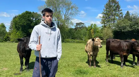 Julia Gregory/BBC A teenager dressed in a hoody and blue trousers is holding a stick in a lush green farm field. He has black and brown cows walking behind him.