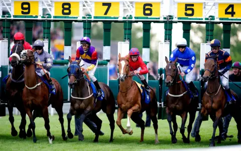 SNS Horses set off in a race at Hamilton Park Racecourse.