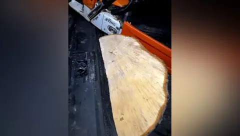 CPS A large wedge of wood next to a chainsaw, which has a silver body and red blade cover