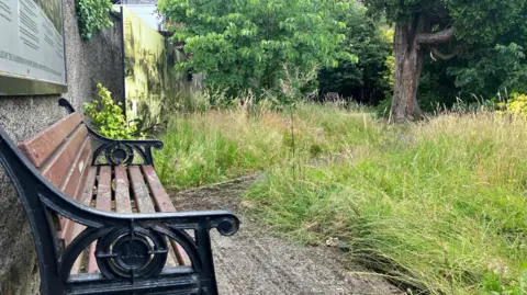 A wooden bench in Fisher Park, Newry. The bench faces a small lawned area which is quite overgrown. There are some trees in the background and the walls at the edge of the park are decorated with murals but the details of the artwork are not clear.
