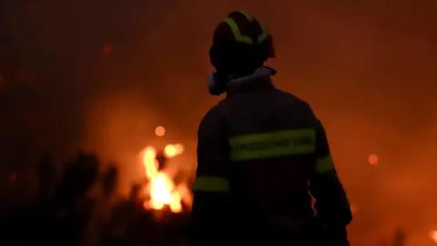 EPA A firefighter works at the scene of a wildfire in Ierapetra, on Crete island, Greece