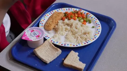 BBC A blue tray with a child's school dinner on it - there is a plate with rice, breaded fish and a vegetable medley. Two pieces of bread and a yoghurt are next to it.