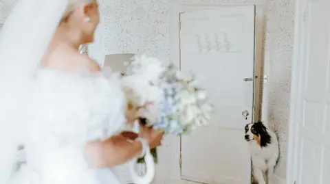 Sophie Collins A dog with white, orange and black fur walking through a white door looking at a woman with blonde hair wearing a white wedding dress and veil with white, pink and blue flowers in her hand.
