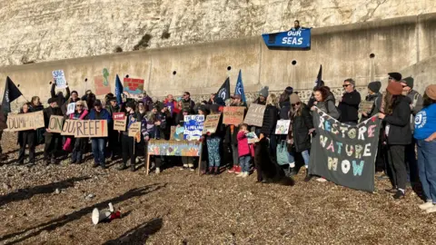 A group of people protest on a beach. 