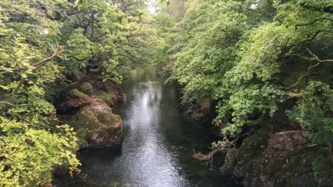 BBC A river in Eryi National park with overhanging green trees with rocky embankments