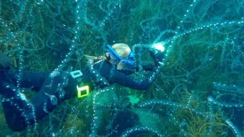Heather Hamilton / @cornwallunderwater A blonde woman in a wet suit is swimming while holding a camera with light shining. Salps, which look a bit like a jellyfish, are surrounding her in all directions. Salps look like lines of see-through strips with fairy lights on them.