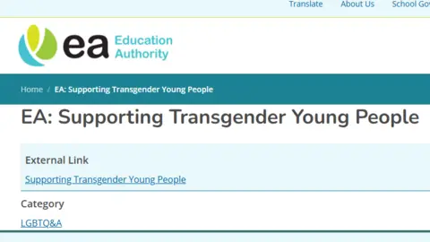 EA Website A screenshot of the EA's website linking to the 'Supporting Transgender Young People' hub under a category of external link.