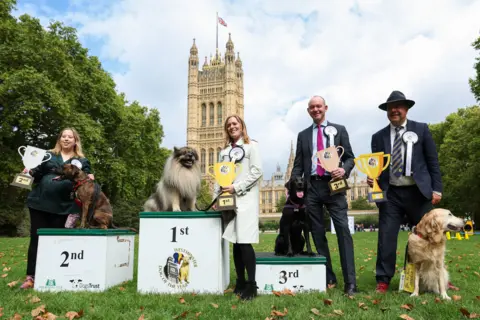 Kieran Cleeves/PA Media Three dogs are sitting on a white-coloured podium with one in each of the first, second and third places. Two women and two men are standing behind them holding cardboard replicas of trophies. They are all standing on a grassy area in front of the Houses of Parliament.