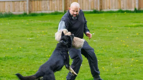 Greater Manchester Police A dog biting onto a padded sleeve worn by a man. It has locked its jaw onto the sleeve as part of an exercise. The man has no hair, has a short black beard and is wearing dark clothes to replicate that which a suspect might be wearing.