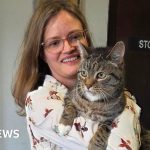 Family reunited with missing cat after nine years