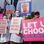 Lords urged to scrutinise but not block assisted dying law