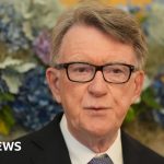 Epstein paid for Mandelson’s travel in 2003, documents show