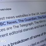 Publishers fear AI summaries are hitting online traffic