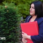 Mahmood vows to fight blocks against migrant deportations