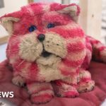 Children’s TV favourite Bagpuss to reawaken for new film